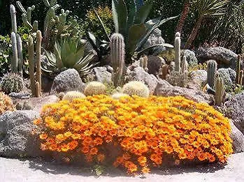 Semiramis De Charme & Pools Forio (Isola d'Ischia)